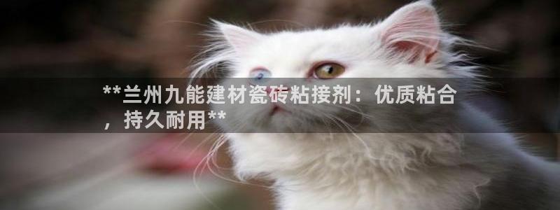 杏鑫平台招商电话号码