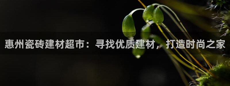 杏鑫注册登录代理公司