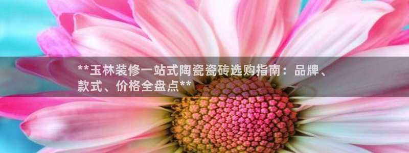 杏鑫平台注册网址查询