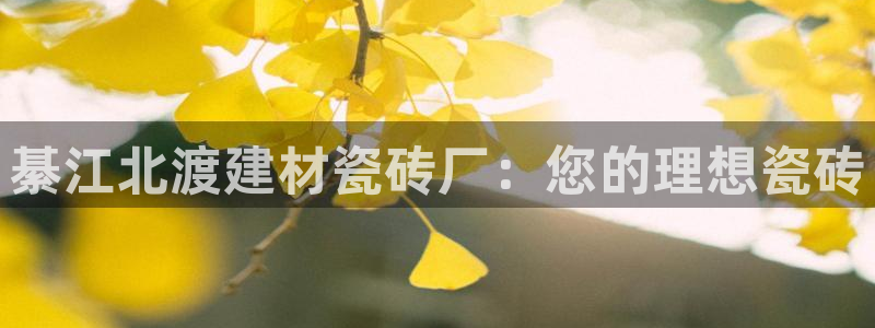 杏鑫平台代理注册要钱吗