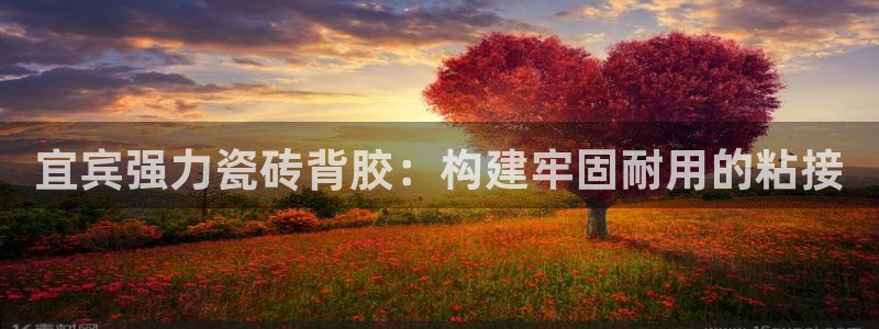 杏鑫注册登录平台是什么