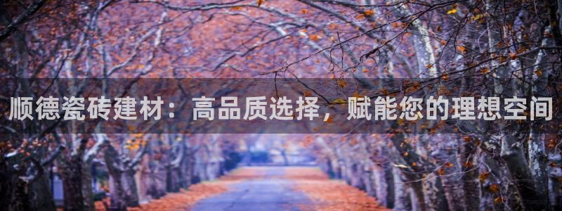 杏鑫测速注册