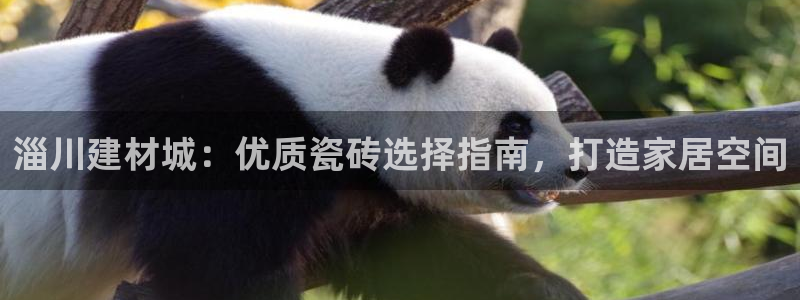 杏鑫注册登录网址是什么