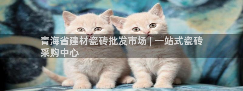 杏鑫平台登陆