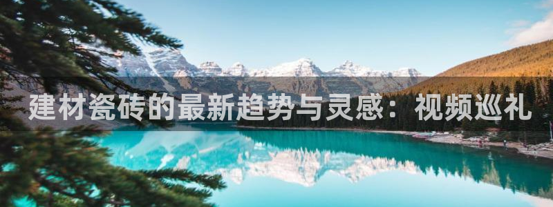 杏鑫主管