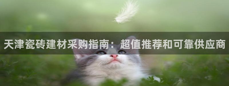杏鑫主管