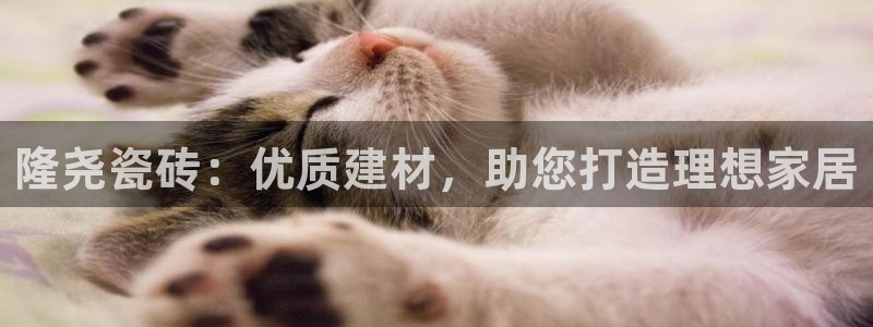 杏鑫平台招商电话号码