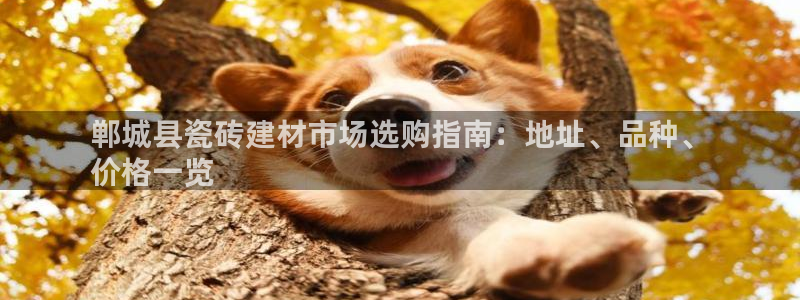 杏鑫平台代理怎么做的