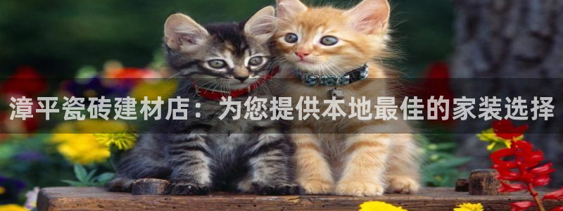 杏鑫官方app代理