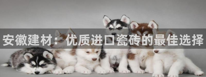 杏鑫平台代理