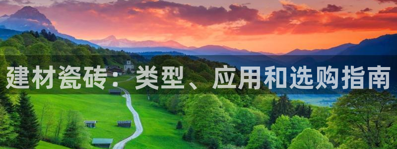 杏鑫平台怎么样