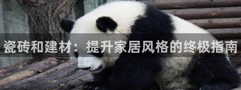 杏鑫娱乐是真的吗
