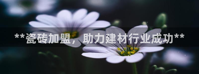 杏鑫平台怎么样黑钱吗安全吗