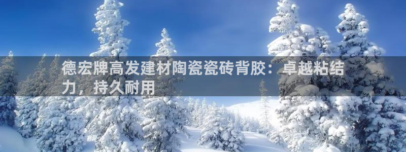 杏鑫平台代理怎么做的