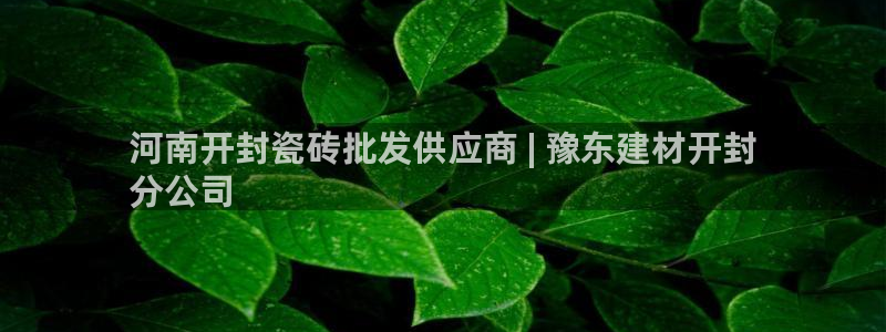 杏鑫平台代理怎么样赚钱