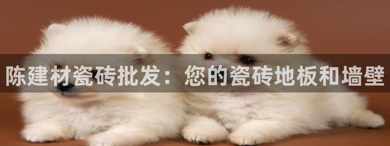 杏鑫平台代理怎么样