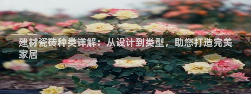 杏鑫娱乐是合法的吗?