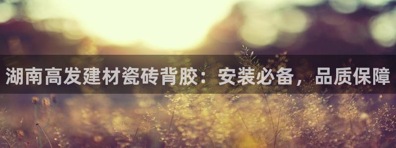 杏鑫娱乐官方网站客户端