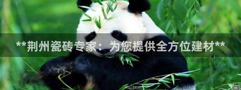 杏鑫娱乐多少年了