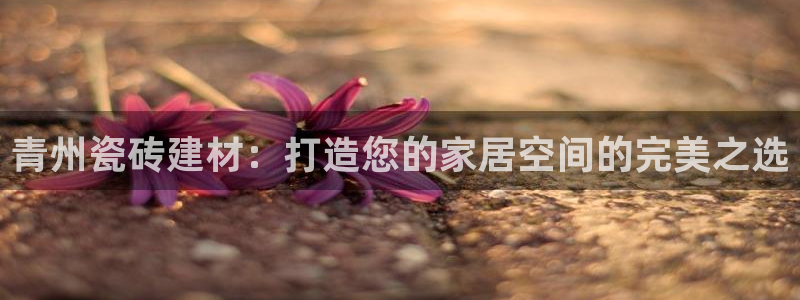 杏鑫平台靠谱吗