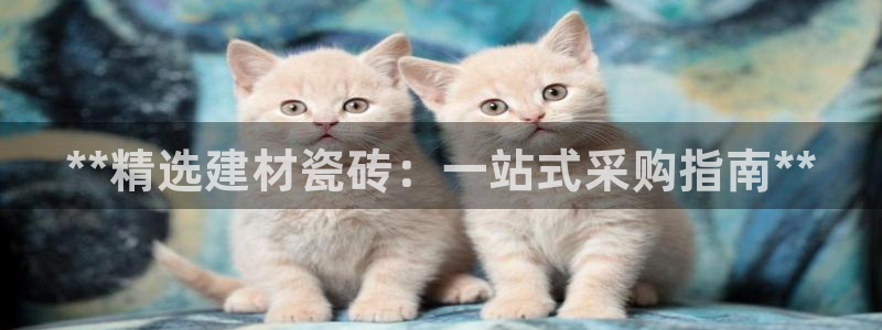 杏鑫平台招商电话号码查询