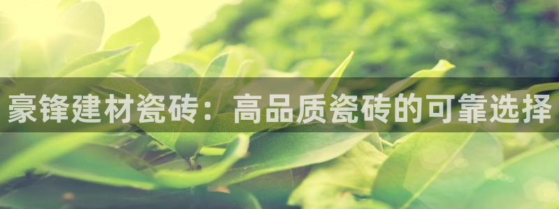 杏鑫平台直属哪个公司