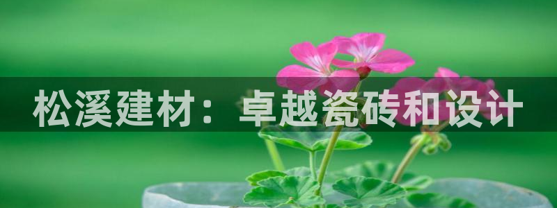 杏鑫平台招商