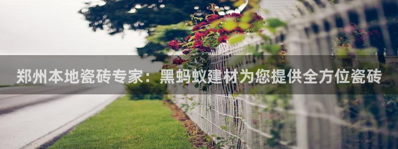 杏鑫平台代理怎么样赚钱