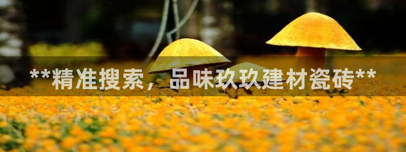 杏鑫平台正规吗