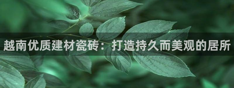 杏鑫有亏损返点吗