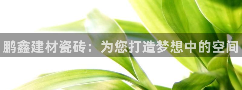 杏鑫平台是黑平台吗