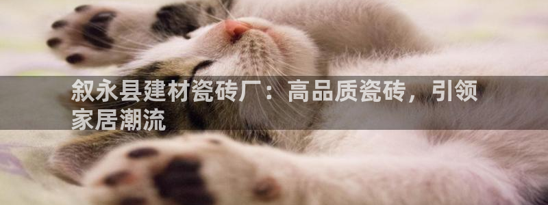 杏鑫平台代理怎么做的