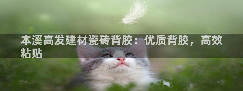 杏鑫娱乐是合法的吗?