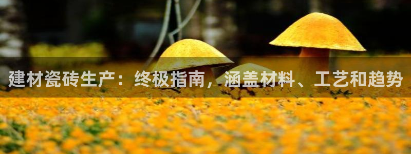 杏鑫平台是黑平台吗知乎