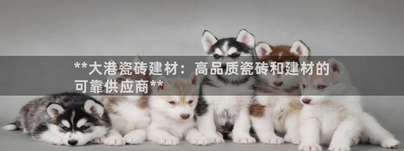 杏鑫平台官方网站