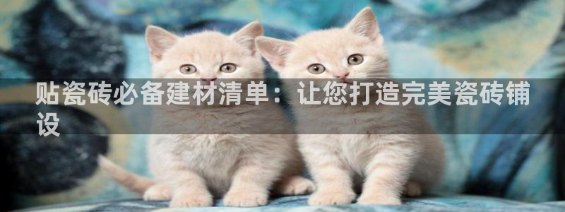 杏鑫平台怎么样知乎