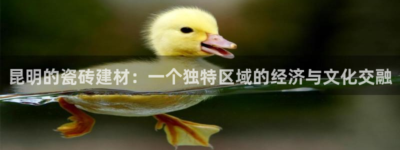 杏鑫平台是黑平台吗是真的吗