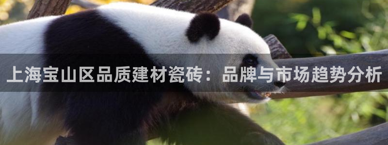 杏鑫平台招商怎么样可靠吗