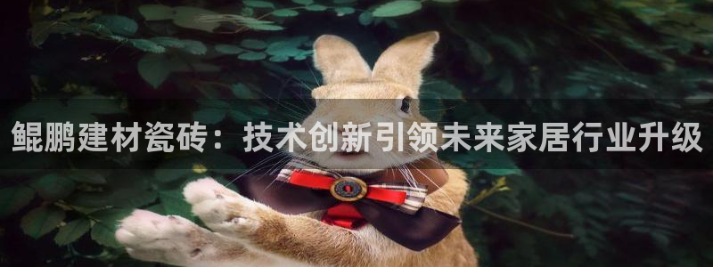 杏鑫平台官方网站