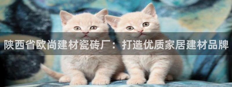 杏鑫平台测速怎么样