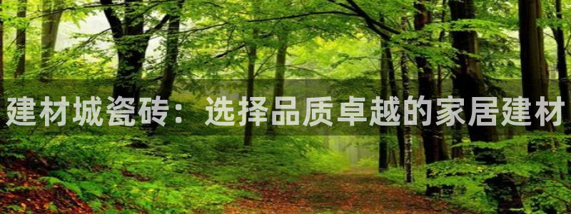 杏鑫官方平台怎么样啊