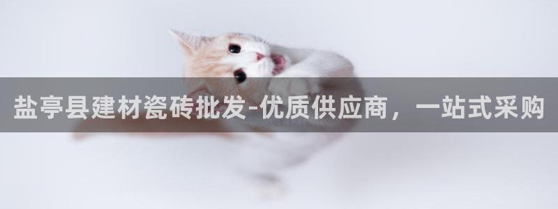 杏鑫平台正规吗