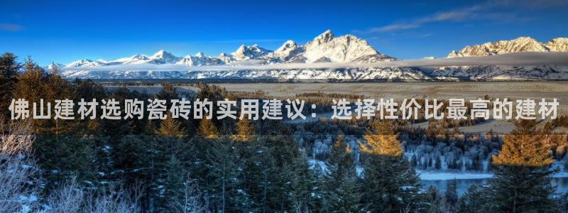 杏鑫娱乐开发团队