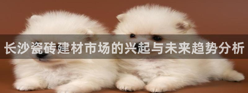 杏鑫官方平台怎么样啊可靠吗