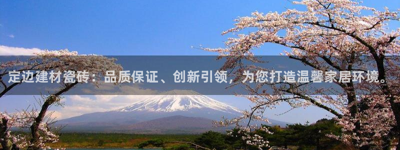 杏鑫娱乐开发团队