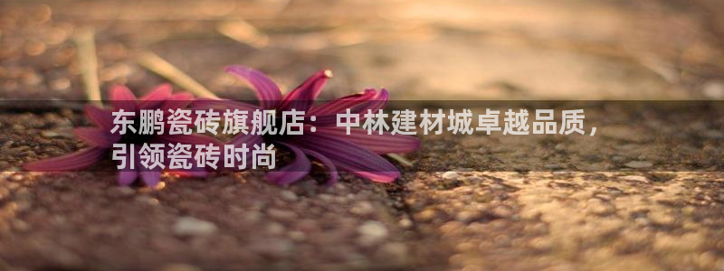 杏鑫平台代理注册登录不了怎么办呀苹果