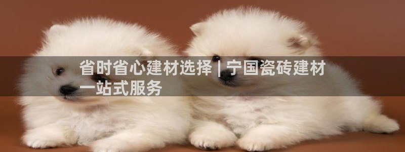 杏鑫平台代理注册登录不了怎么办呀视频