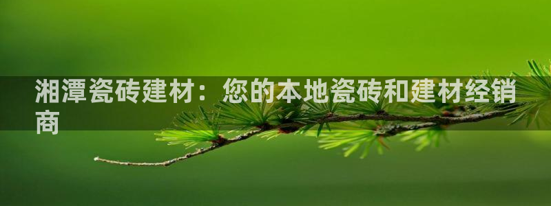 杏鑫官网注册账号