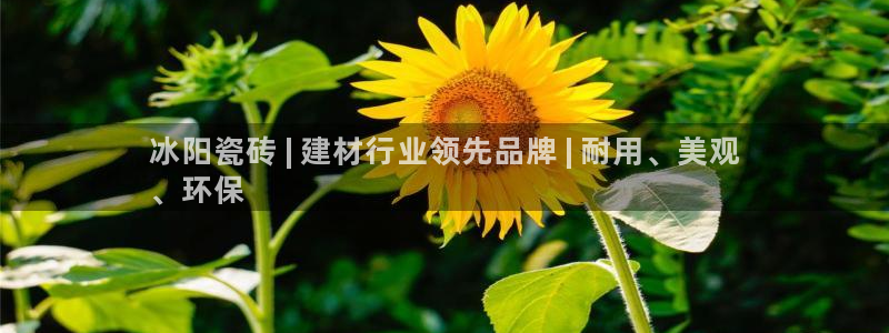 杏鑫平台代理注册登录不了怎么办呀苹果