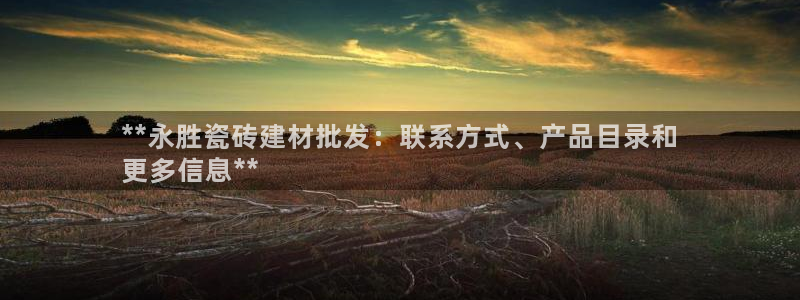 杏鑫平台代理注册